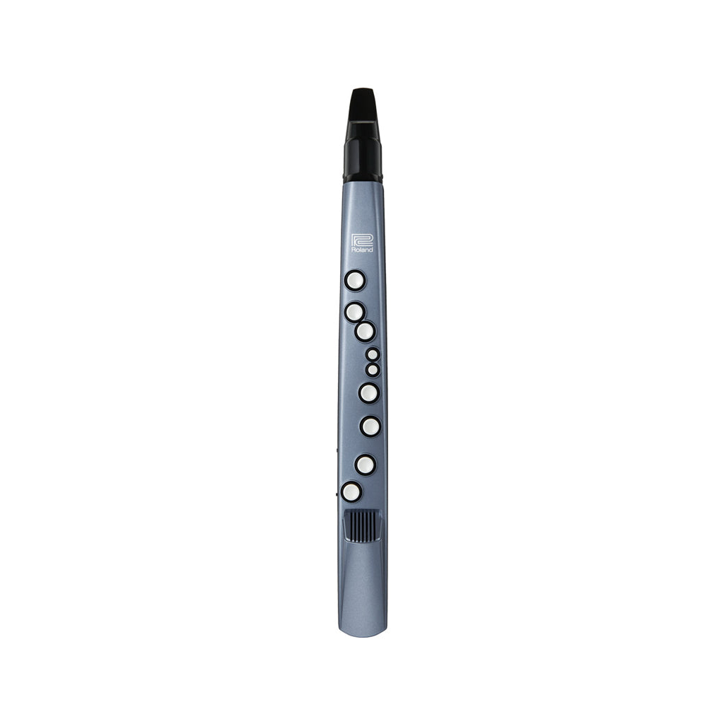 Roland AE-01 Aerophone mini Digital Wind Instrument