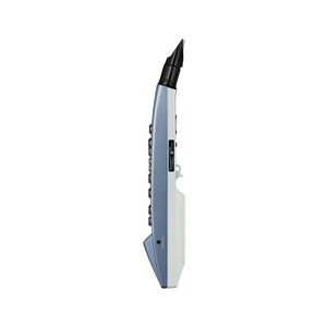 Roland AE-01 Aerophone mini Digital Wind Instrument