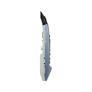 Roland AE-01 Aerophone mini Digital Wind Instrument