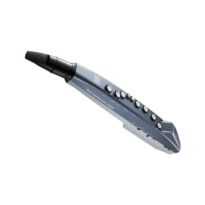 Roland AE-01 Aerophone mini Digital Wind Instrument