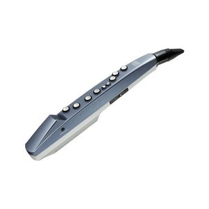 Roland AE-01 Aerophone mini Digital Wind Instrument