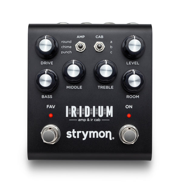 ギター strymon IRIDIUM 20240906_Amp_1244x800-1200x900.jpg
