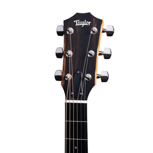 Taylor 214ce Plus Rosewood/Spruce Grand Auditorium Acoustic Guitar w/Aerocase, Natural