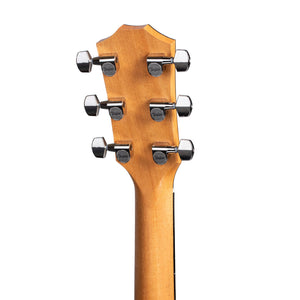 Taylor 214ce Plus Rosewood/Spruce Grand Auditorium Acoustic Guitar w/Aerocase, Natural