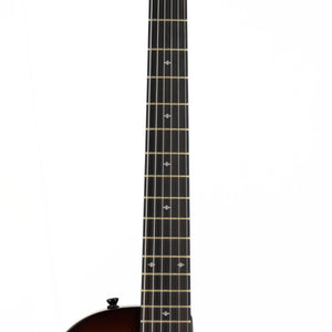 Taylor T5z Classic Electric Guitar w/Case, Sassafras Top