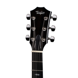 Taylor T5z Pro Electric Guitar w/Case, Denim