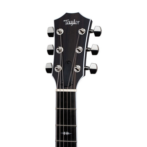 Taylor T5z Pro Electric Guitar w/Case, Pacific Blue