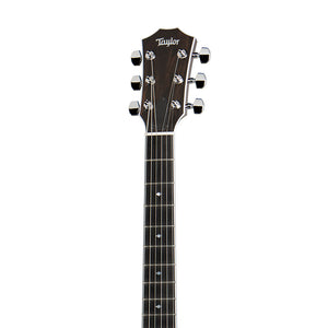 Taylor T5z Pro Electric Guitar w/Case, Tobacco Sunburst